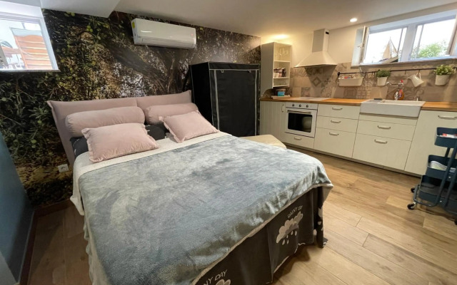 Studio apartman Pod Room