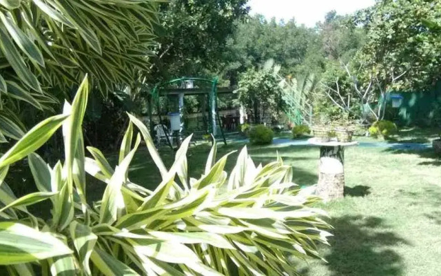 Mangroven Bungalow