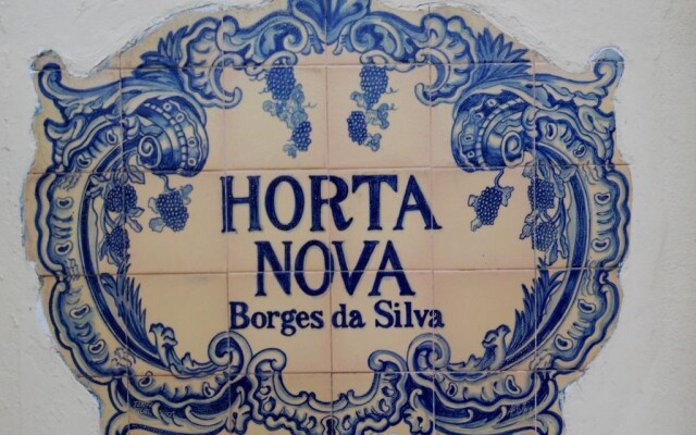 Horta Nova