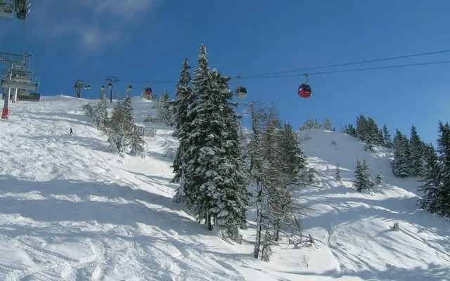 Pension Posauner Dorfgastein