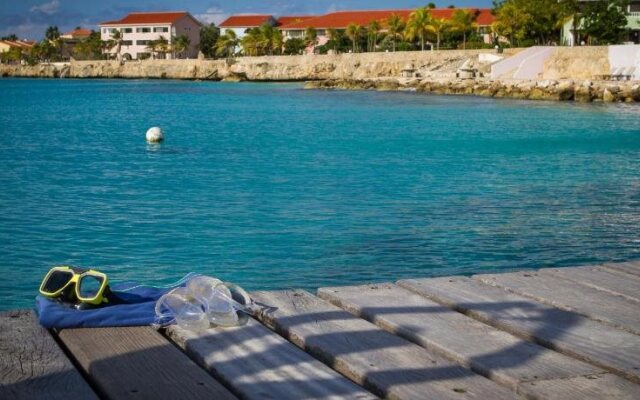 Sand Dollar Bonaire