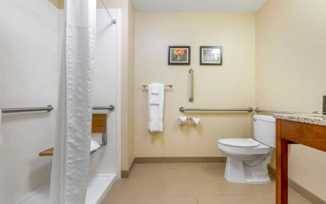 Comfort Inn & Suites Lenoir Hwy 321 Northern Foothills