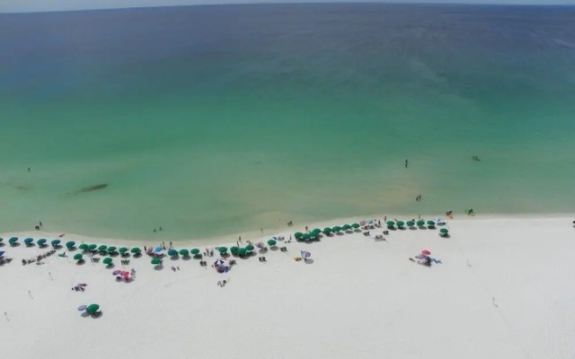 Pelican Beach 2008 1 Bedroom Condo