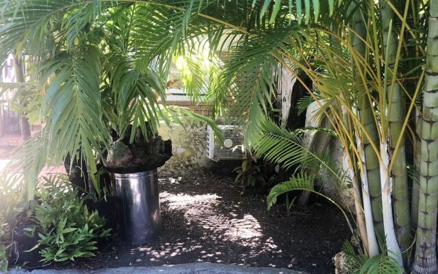 Studio In Basse Terre With Enclosed Garden And Wifi 12 Km From The Beach