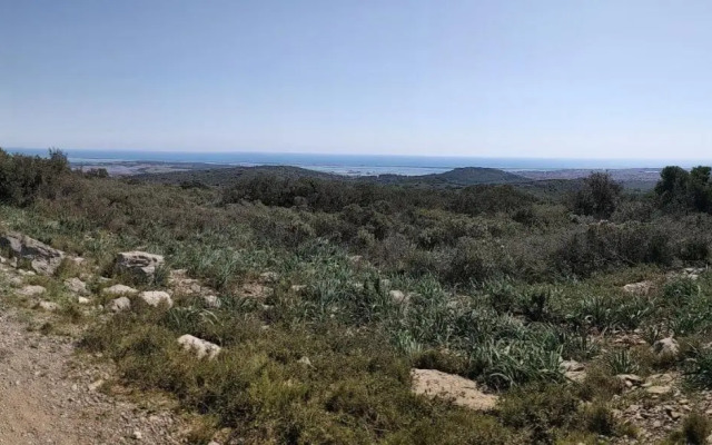 Studio Plage Anthemis
