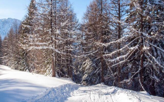Chalet Panorama
