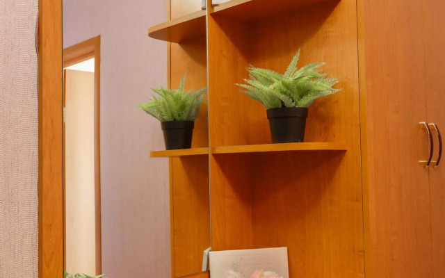 SmolSutki на улице Академика Петрова