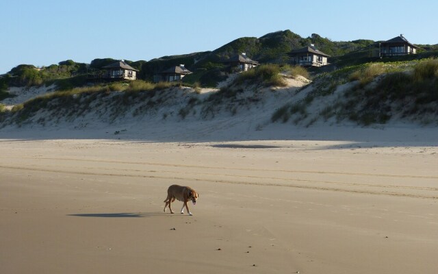 Blue Footprints Eco Lodge