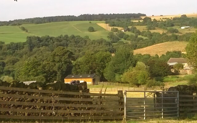 Oaks Lane Farm