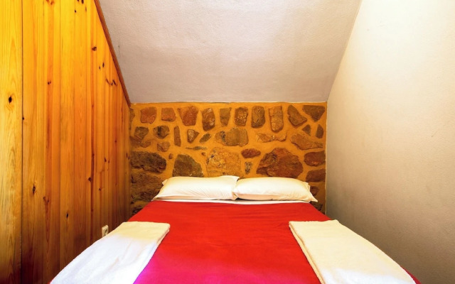 Raízes da Vinha - by Matias Nature