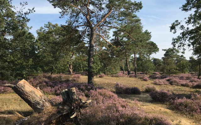 Vakantiehuisje Specht