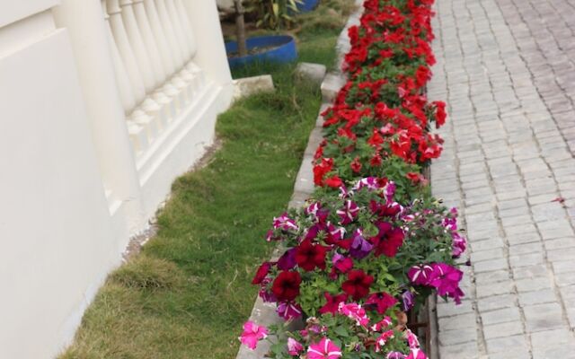 ROYALE de' CASA RESORT KAZIRANGA