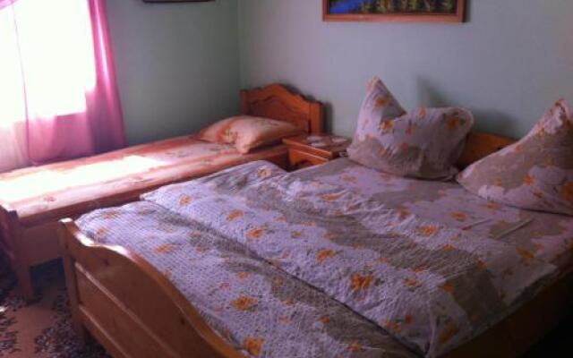 Pensiunea Ana Orghici