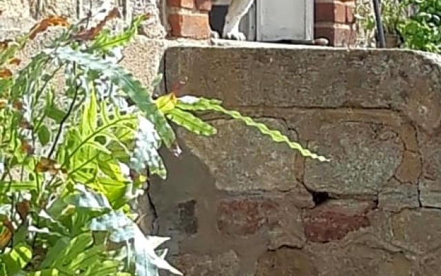 Maison de la Comtesse