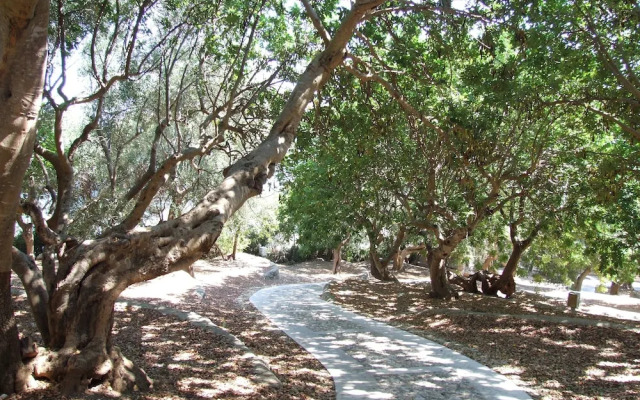 Villaggio Hotel Ripa