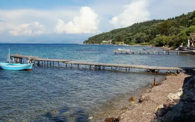 Aliki Studios
