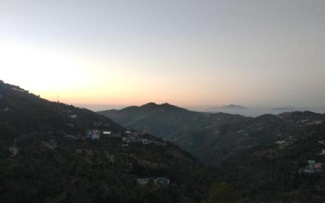 Orchid kasauli