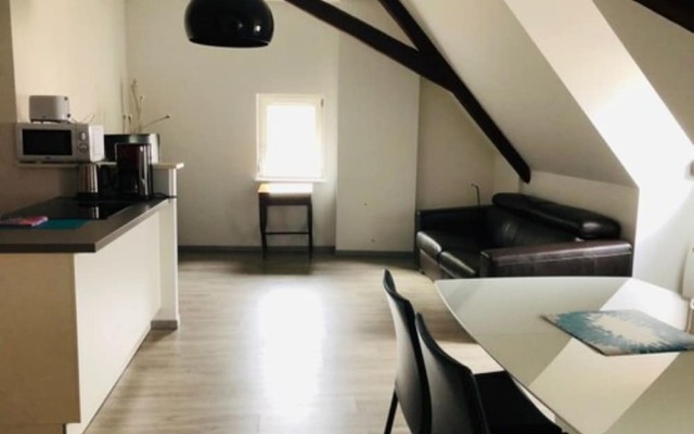 A L'ill - Apparts & Studios Strasbourg Hyper Centre