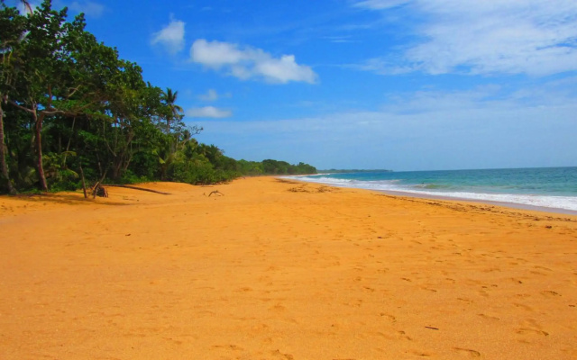 Bluff Hidden Paradise