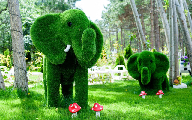 Sweet Homes 6 Apartments