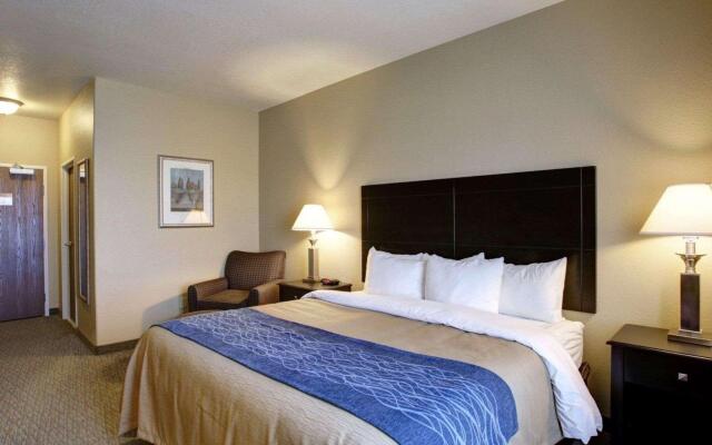 Spark by Hilton Selma
