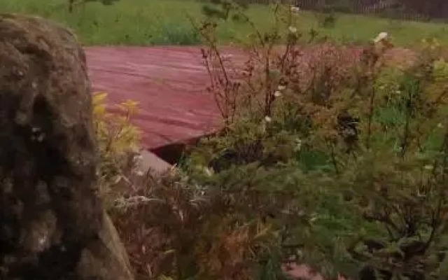 Solnechny Dom-Casa del Sole