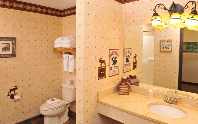 Stoney Creek Hotel Quad Cities - Moline