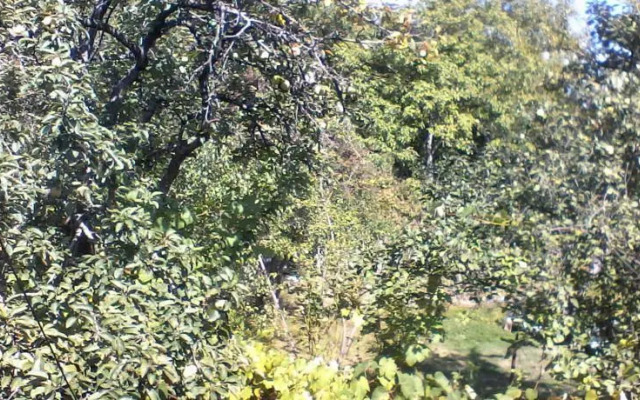 Borjomi Likani Homestay