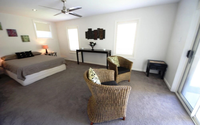 Geckos at South West Rocks