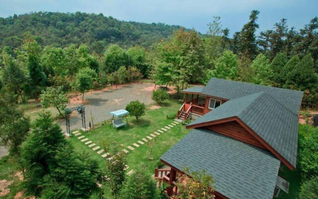 View on View B & B