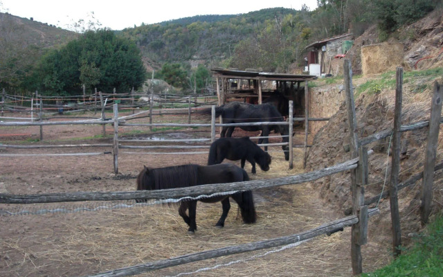 La Locanda Del Minatore