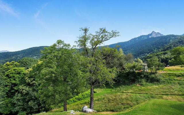 Rustico San Martin