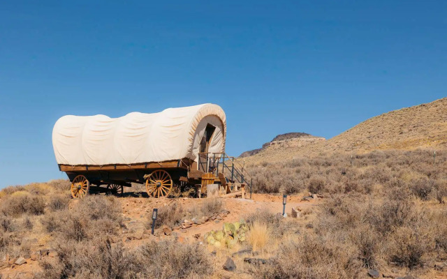 Zion Wildflower, BW Premier Collection