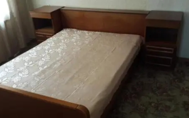 Виолетта на Ленина — фото
