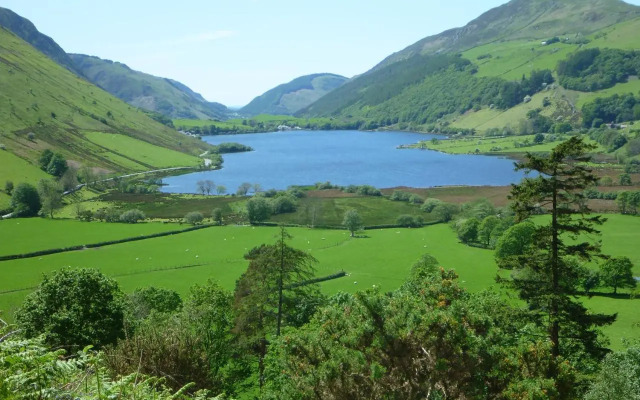 Dolffanog Fawr