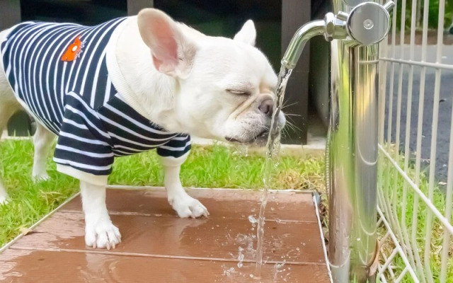 Rakuten STAY VILLA Aso Kurokawa