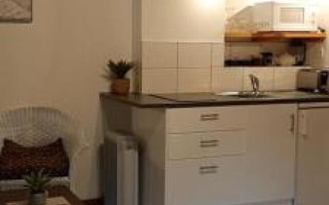 Buena Vista Apartment