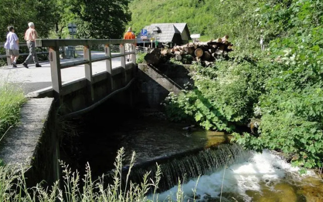 Zinkhaus - Waldheimat Alpl