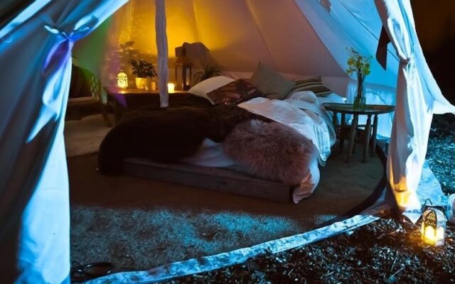 Plush Tents Glamping