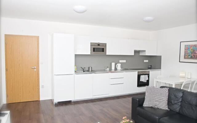 Apartment Husova