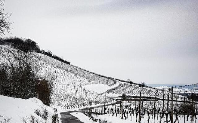 Terrasses du Zimmerberg