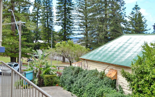 Travellers Palms 7 South West Rocks