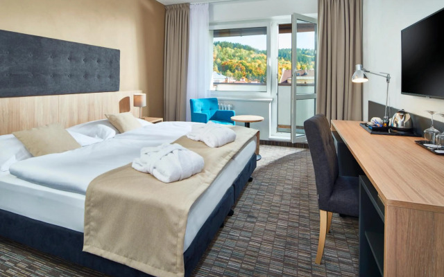 Spa Hotel Devin