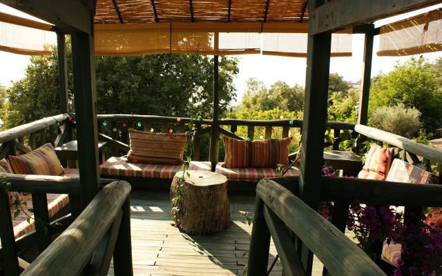 Lazy Lizard Boutique-Hotel