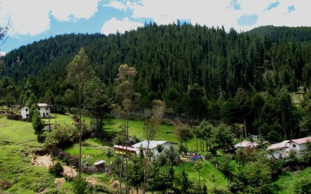 Valle del Inca