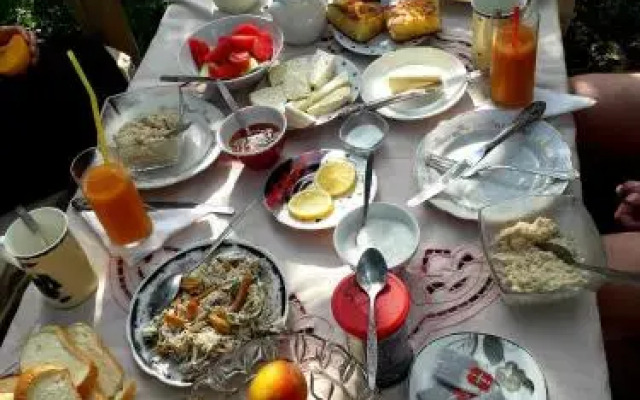 guesthouse metreveli
