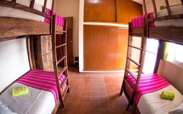 La sirena hostal