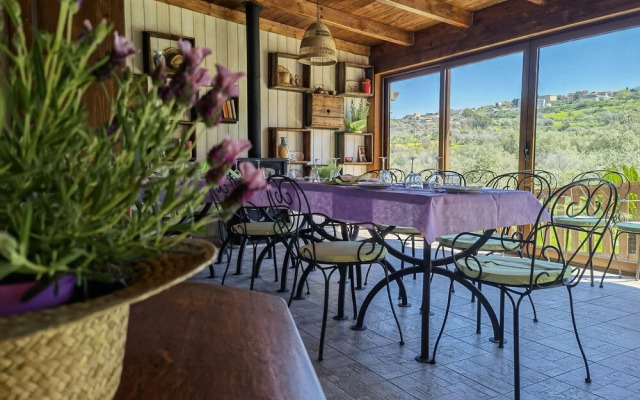 la corte degli ulivi