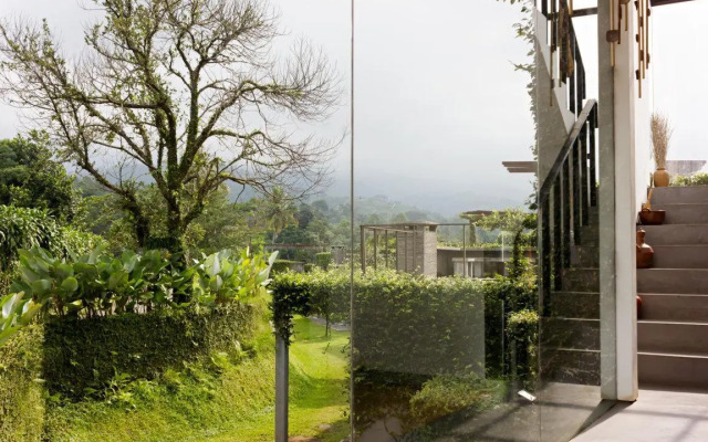 Tea Garden Resort