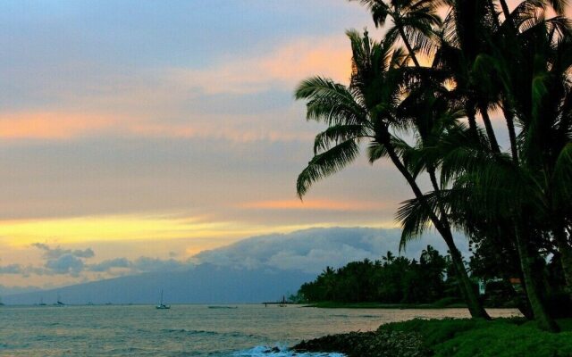 PuaMana 175-2 - 1 Br Condo